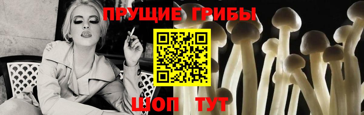 сколько стоит  Галлюциногенные грибы GOLDEN TEACHER  Вход с VPN  Саяногорск 