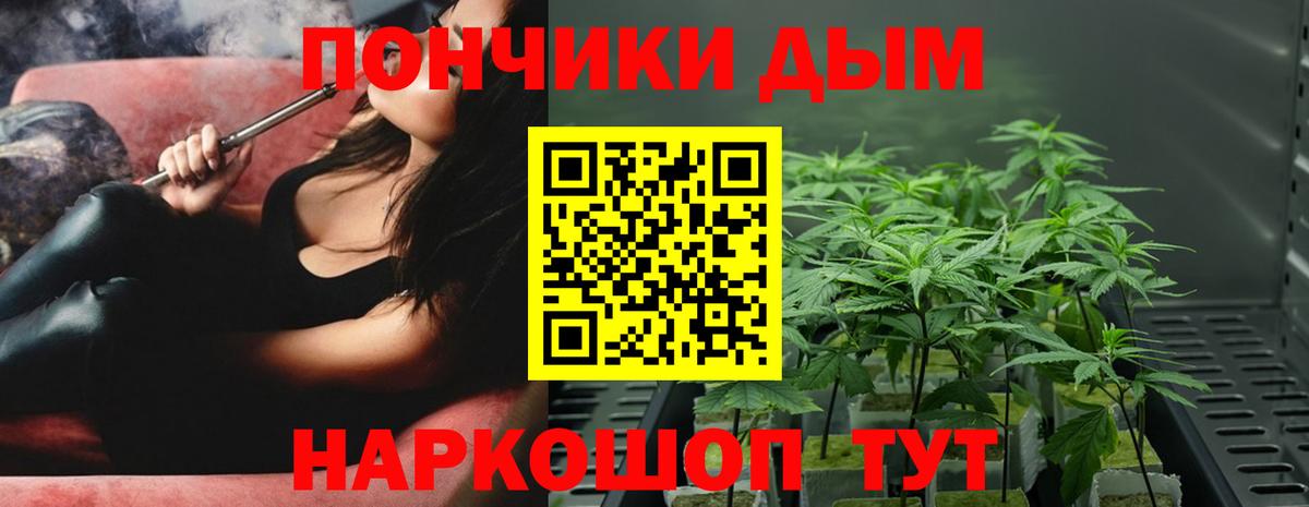 Конопля планчик Саяногорск
